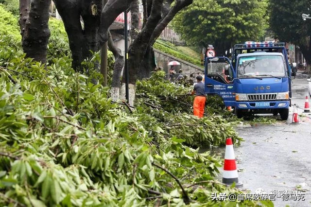 一台几千块的粉碎机就能创业成功？村民：再也不出去务工了