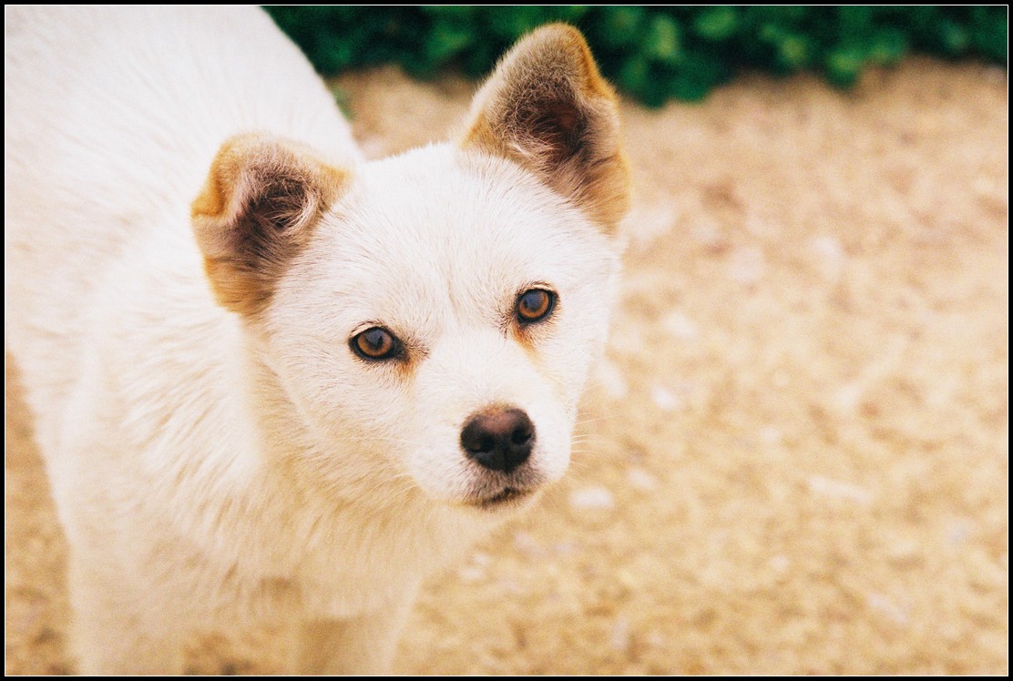 第9篇关于二手（这是个沉重而有趣的话题）