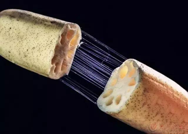 我国很多成语与植物有关,汉语成语中的植物文化