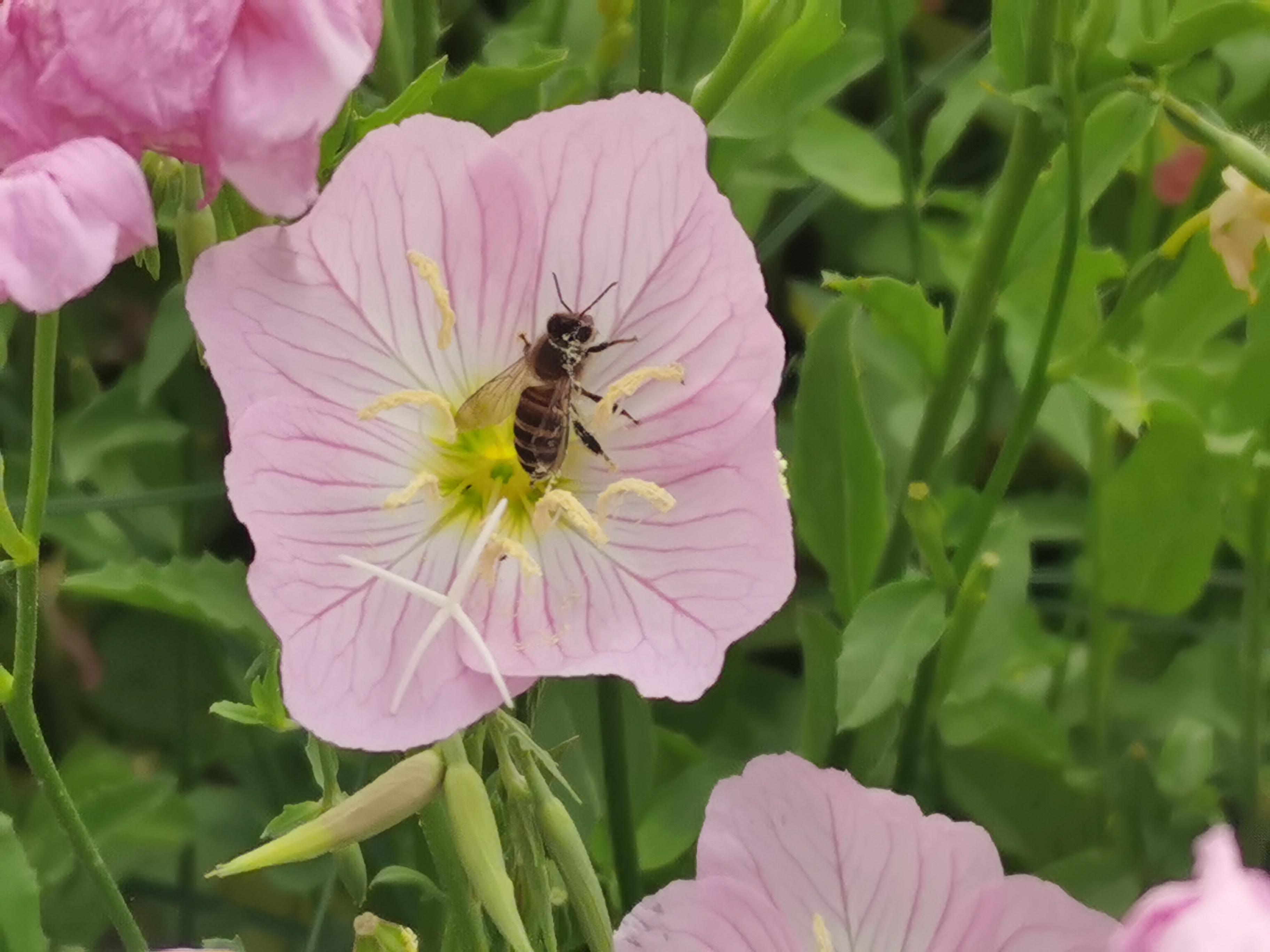 马鞍山风景名胜区,生态画卷美不胜收
