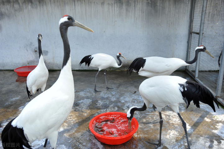 五一自驾游推荐景点武汉,武汉适合周末出游的地方