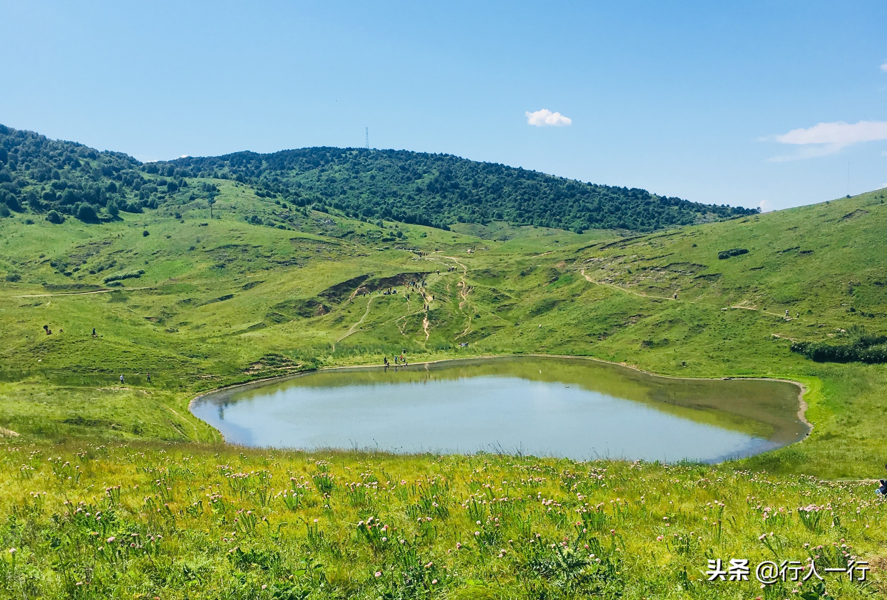 华北最大的亚高山草甸圣王坪,华北最大的亚高山草甸
