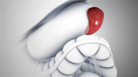 体检说脾增大什么意思,体检报告说肝硬化可能性比较大