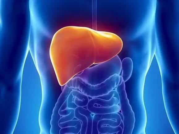 肝脏解毒能力不好的表现,肝脏排毒功能差的人症状