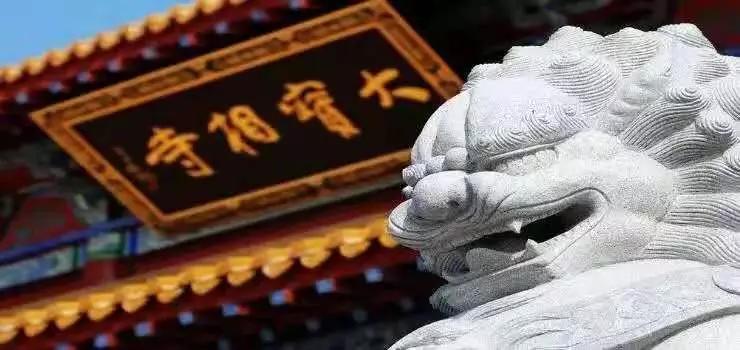 桓台、芝罘、上夼、郯城、莒县、单县...山东的这些地名你都会读吗？