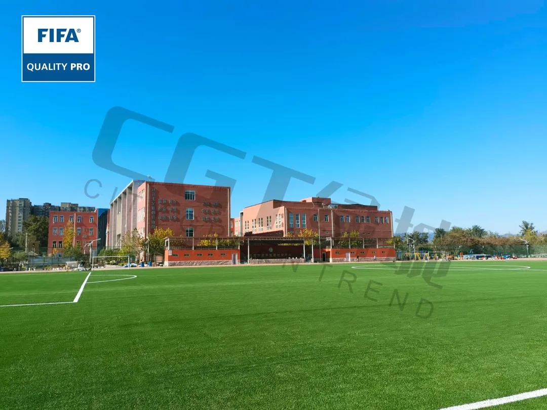 世界学生日是哪一天,世界读书日学习先锋立志向