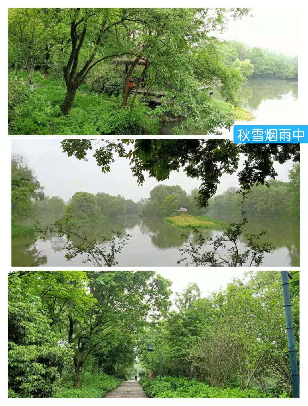 文化源远,三:水中寺庵？秋雪四面环水似孤岛蒋村二客夜走秋雪庵