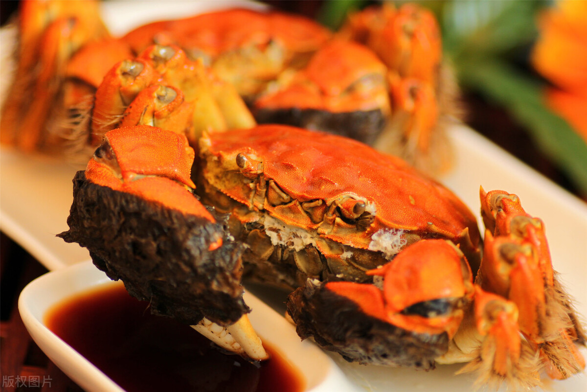 阳澄湖本地吃蟹攻略,苏州阳澄湖蟹