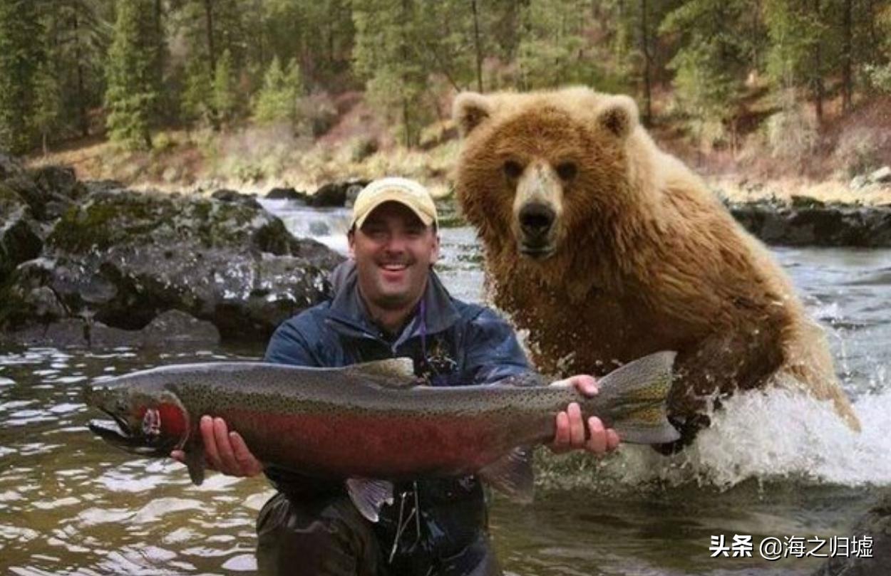 神级抓拍图片,25张令人惊叹的“神”级抓拍
