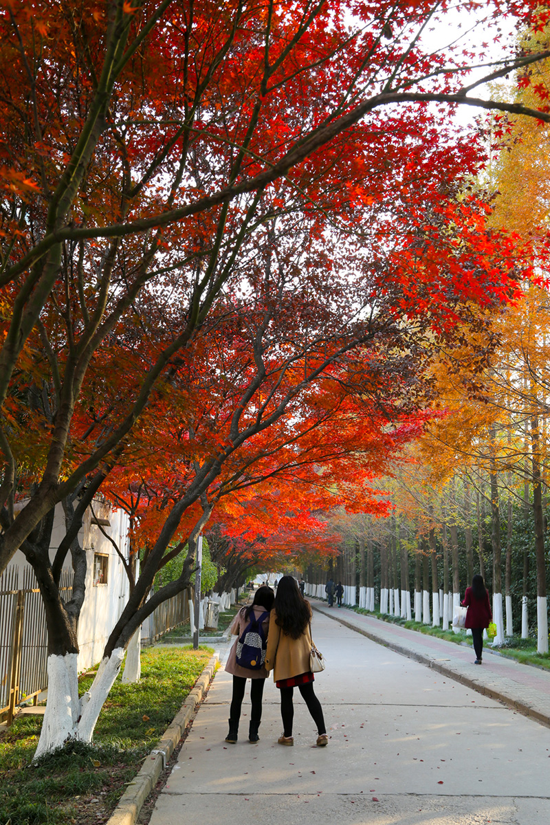 考研调剂江苏有几所学校,考研调剂江苏理工学院