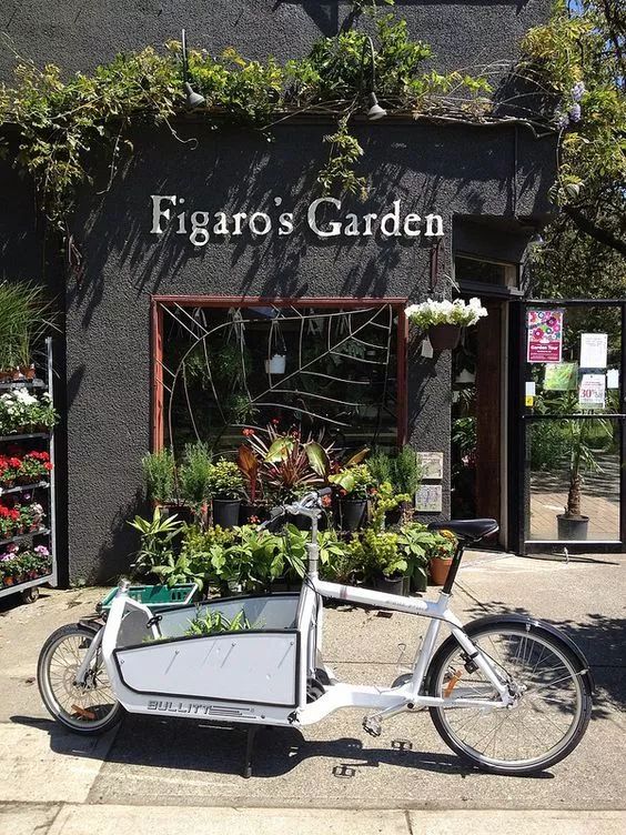 开花店经验100例,开花店真实经验