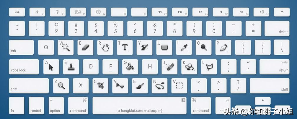 adobephotoshop快捷键表,adobephotoshop是什么软件