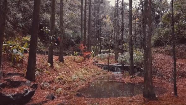 裸心谷裸心堡价格,裸心堡和裸心谷哪个风景好