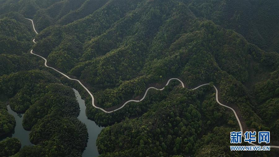 太平湖风光全景,太平湖森林公园