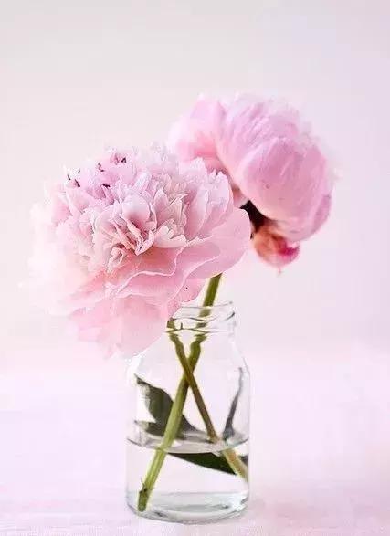 涨姿势为什么叫涨知识,涨姿势怎么解释