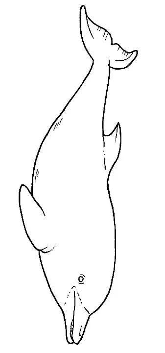 画画入门教程干货博主,基础入门画画必知