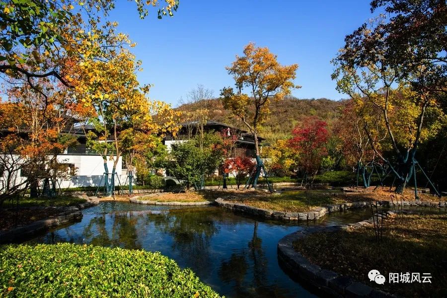 娴呯濡傛ⅵ鍚庣画,娴呯濡傛ⅵ