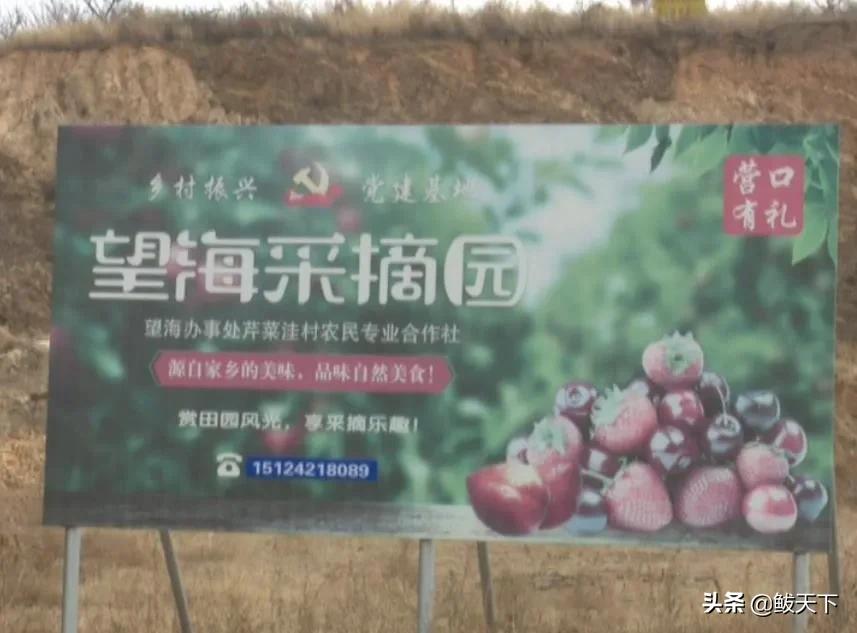 党员齐上阵抗疫保生产,沿滩党员干部奋战一线抗疫保春耕