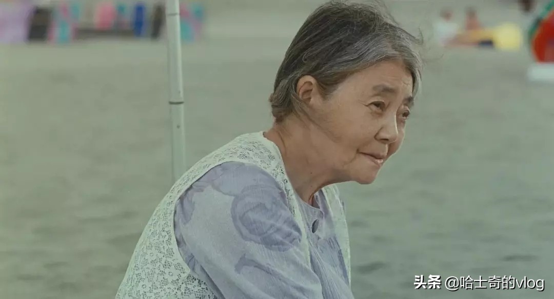 小偷家族解析,小偷家族故事解析