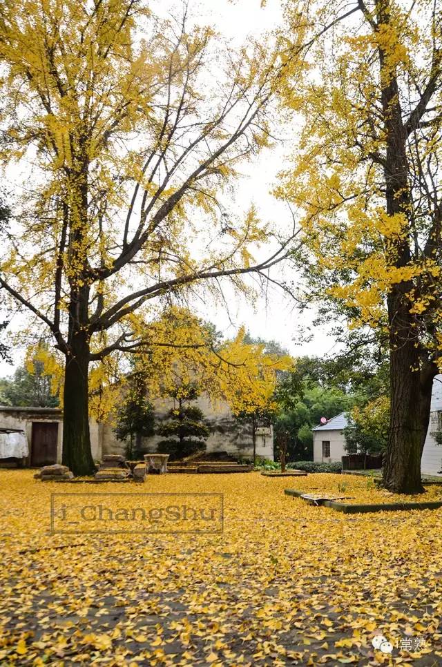 何必去远方原唱视频,何必去远方京都在左常熟在右