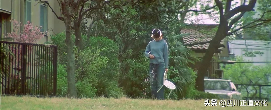 值得看的电影春天,春天的电影名字