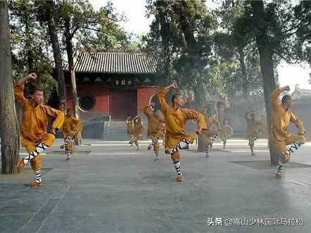 确认过眼神你就是我要遇上对的人,确认过眼神你就是我的人