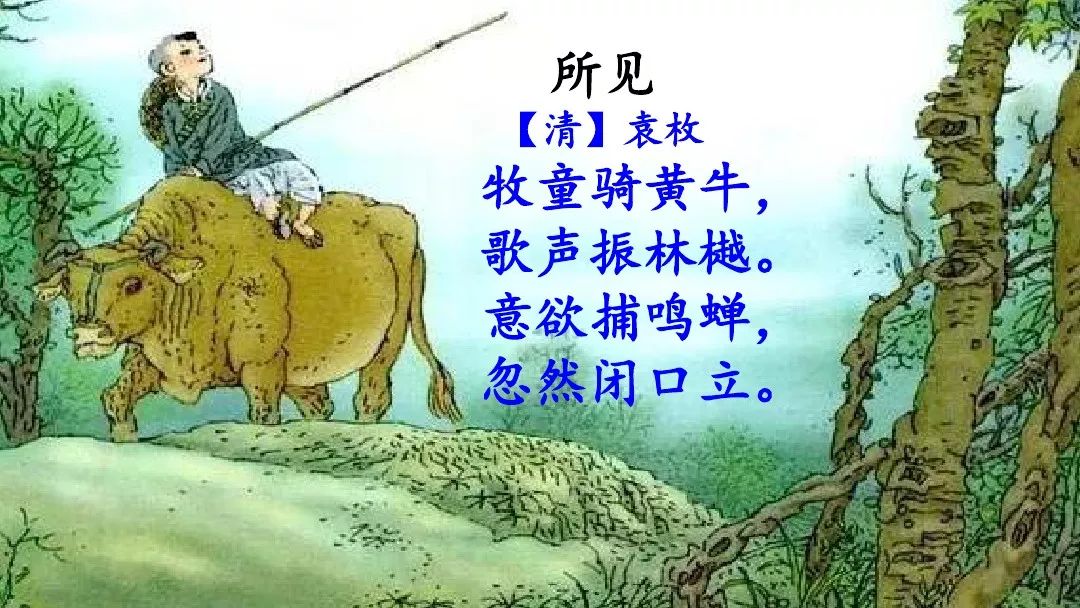 三年级下册剃头大师阅读题及答案,三年级下册语文第19课剃头大师