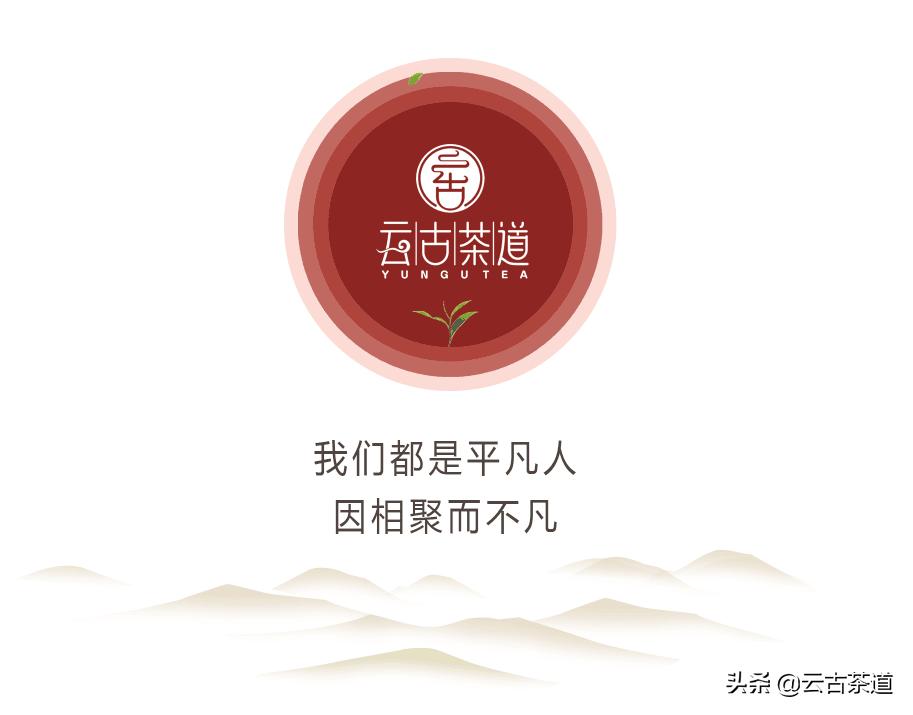 茶叶梗多的茶好吗,究竟是什么茶如此难泡