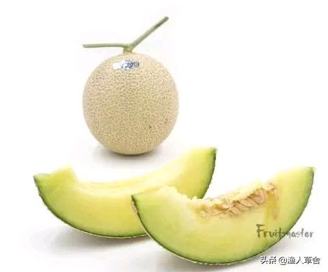 网纹瓜和静冈蜜瓜,静冈蜜瓜是网纹瓜吗