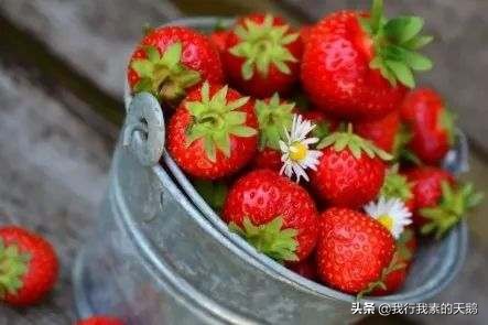 人民日报专家集体辟谣原文,专家辟谣的谣言