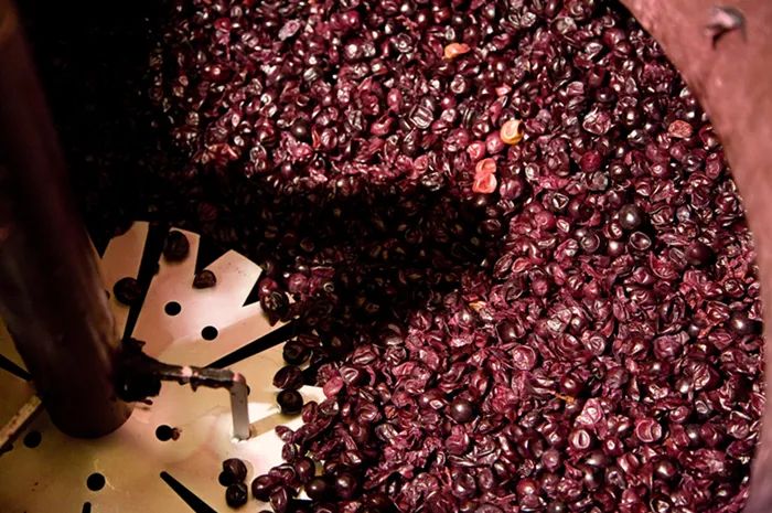 半甜型葡萄酒酿造过程,欧洲葡萄酒的酿造过程