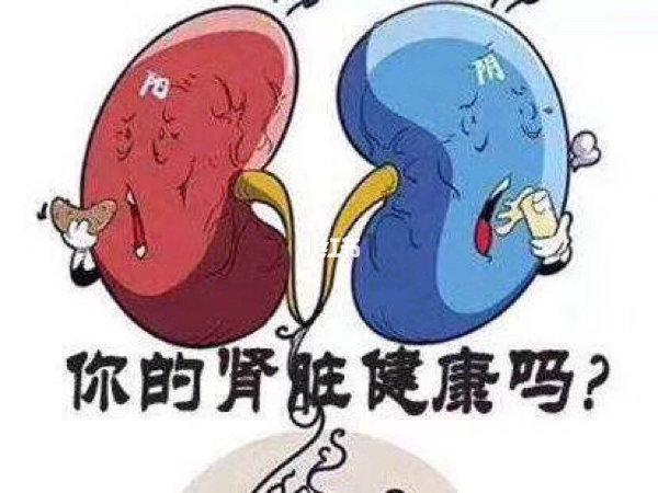 中医对水病的认识及治疗体会,肾阳虚现代医学诠释