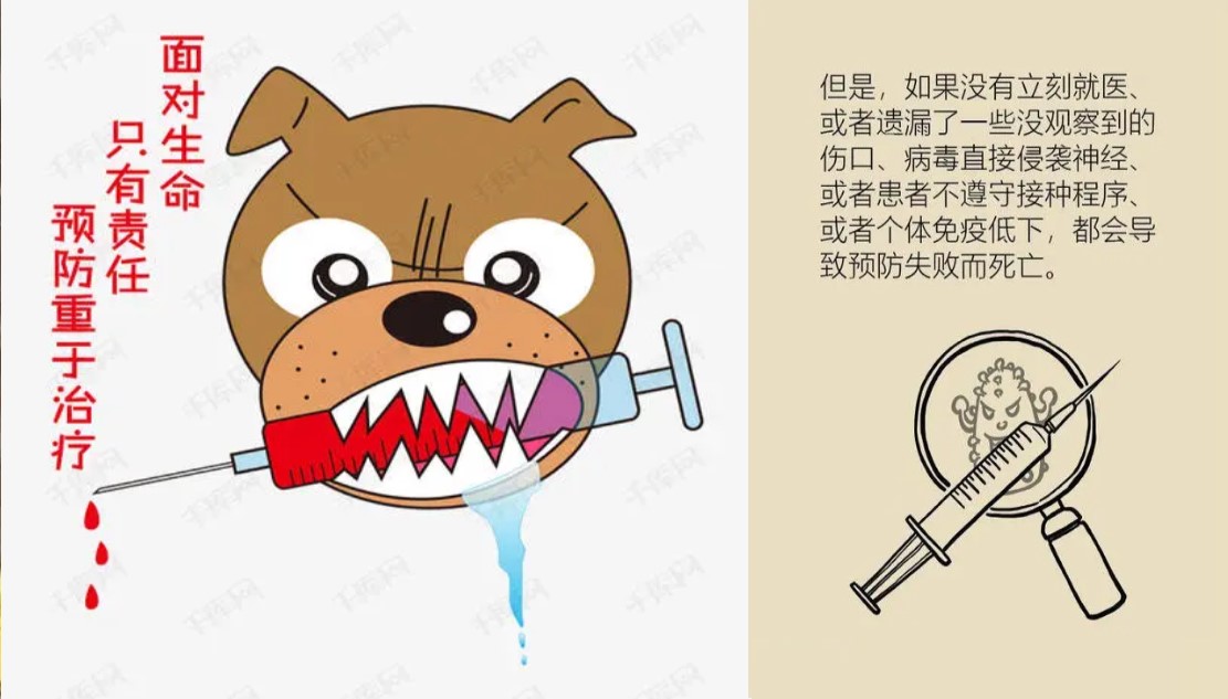 被狗咬有疯狗病吗,被疯狗咬后真的会像狗一样叫吗