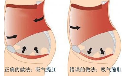 肛门瘙痒潮湿有分泌物用什么药,肛门潮湿有大便分泌物用什么药