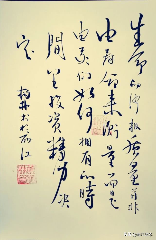 丽江新纪元学校学费多少,丽江新纪元学校2024年