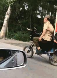 超级搞笑gif图,超好笑gif图