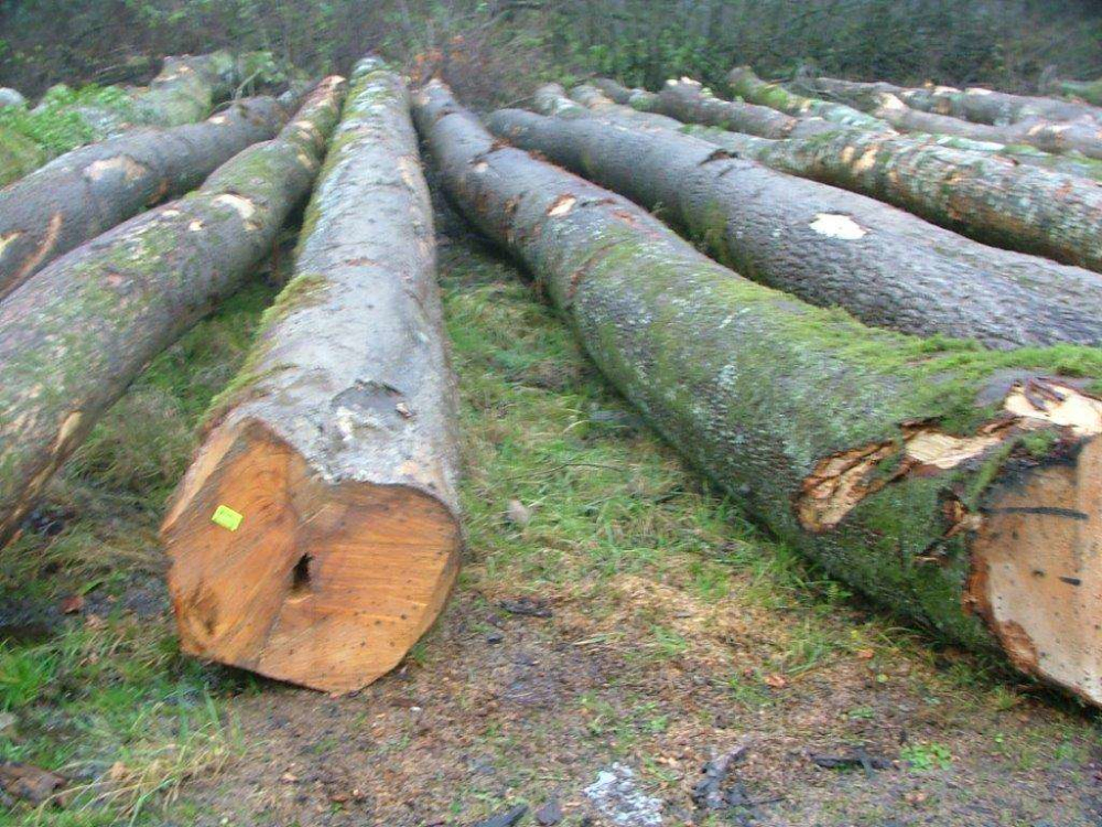 买家具价格被坑,买家具骗局套路最新