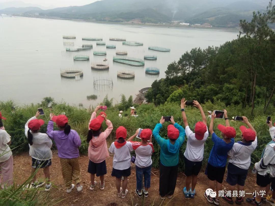 霞浦一中高一新生夏令营,霞浦县夏令营