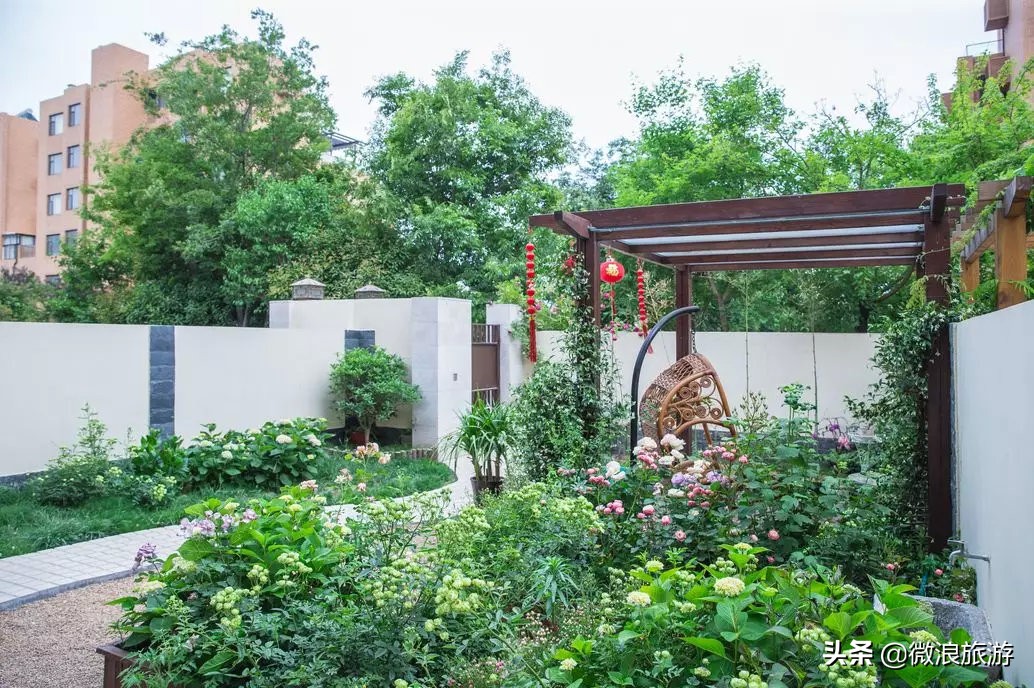 白鹭湾的“选美大赛”，谁是你心中最美的“姑娘”