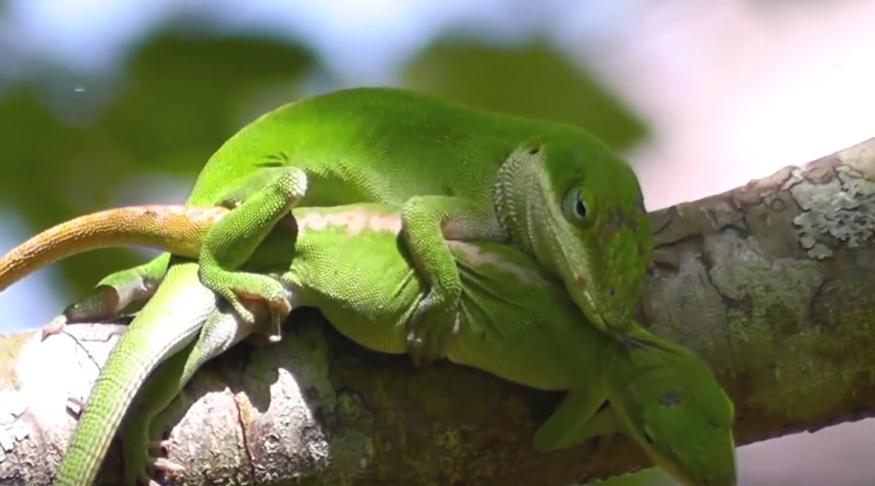 人造子宫实现让人类复活,人类能接受人造子宫吗