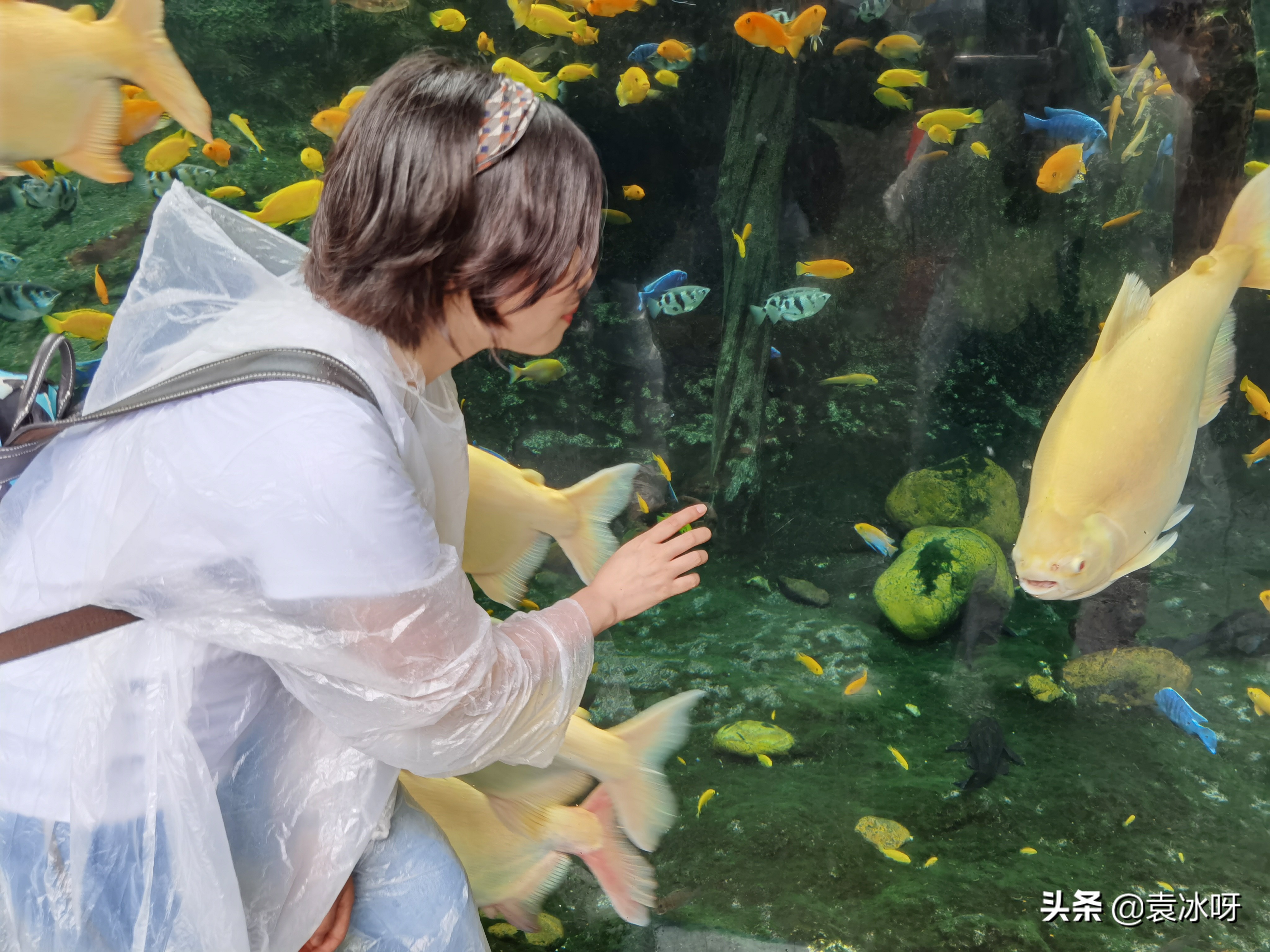 珠海长隆海洋王国一日攻略,珠海长隆海洋王国停车场攻略