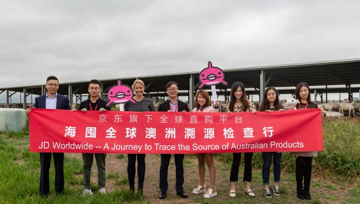 京东11.1品牌秒杀,京东全球好物11.11