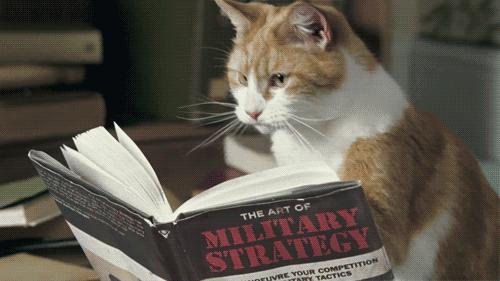 英语毕业论文引用用什么格式,英文毕业论文的写作要求