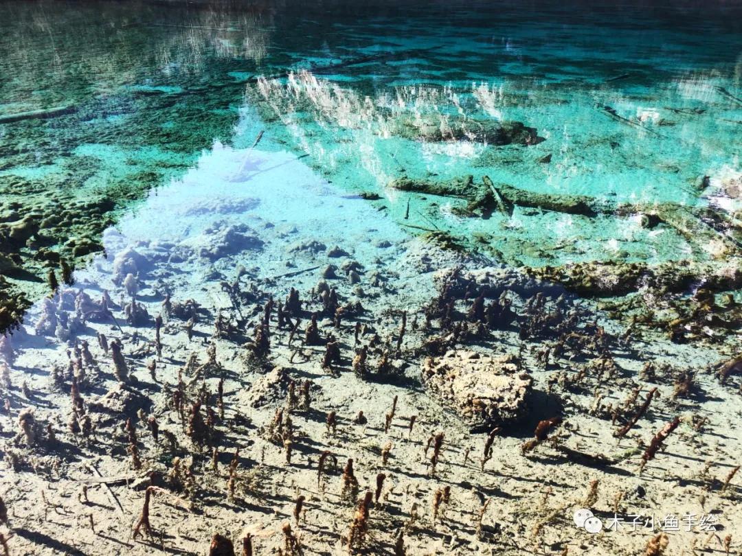 2021九寨沟官方视频,九寨沟跨年夜