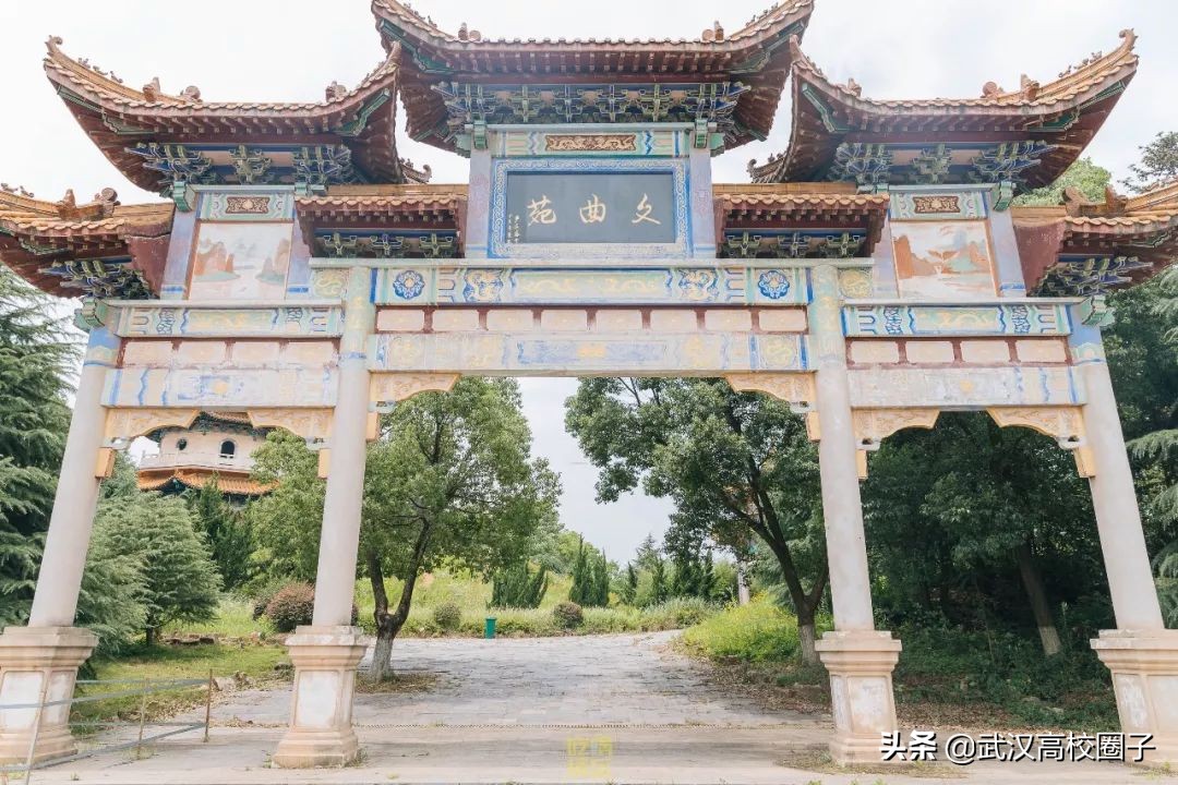 爸妈我想回家视频,爸妈我想回家了原视频