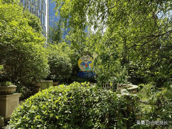 滨湖省府板块高速,实探滨湖区省府中轴禹洲绿城兰园