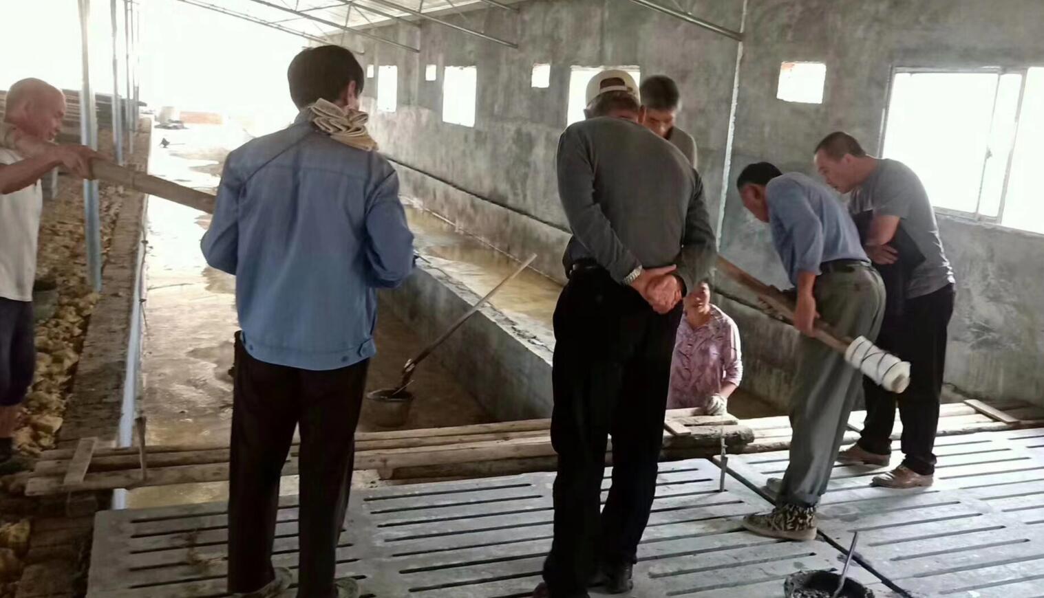 养猪大棚怎么建造比较省钱,养猪大棚建设要点