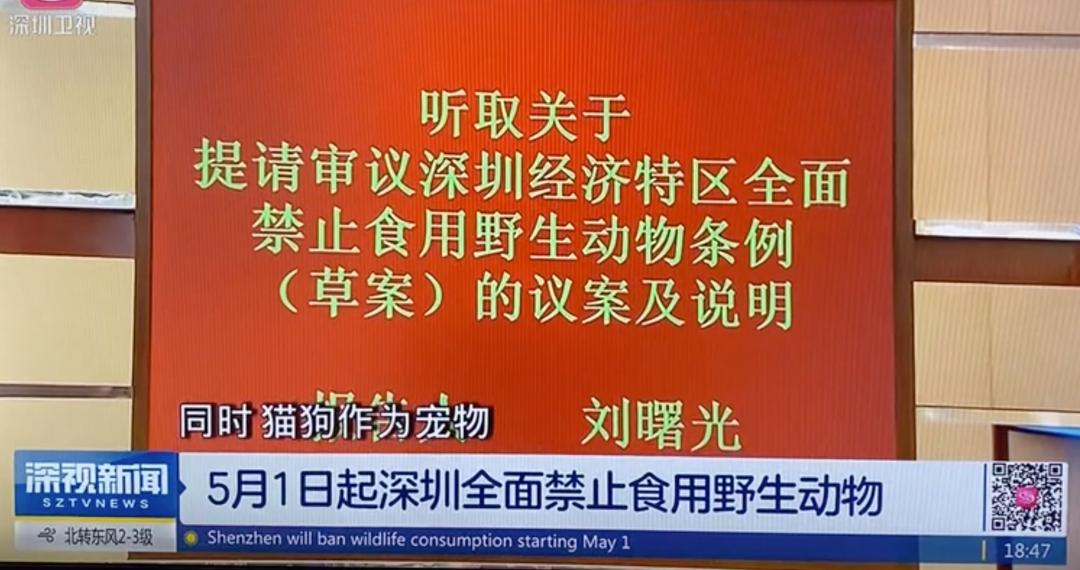 中国禁止食猫狗的城市,对深圳立法禁食猫狗的官方评论