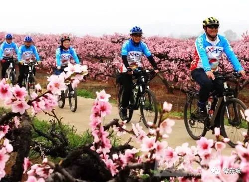 花开十五载,花开十五载筑梦新未来