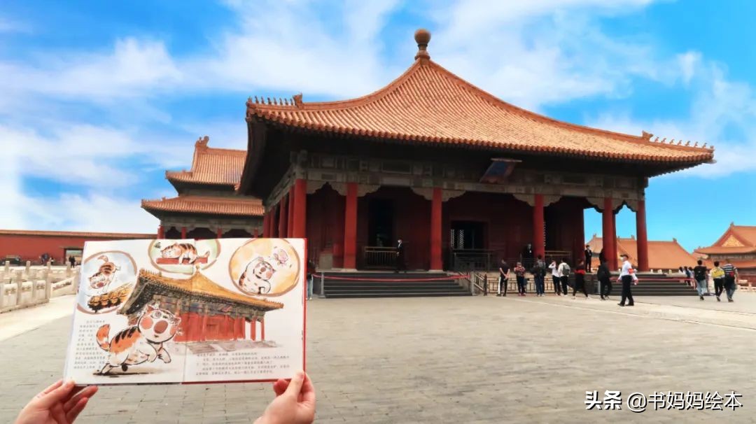 故宫御猫夜游记原创,北京故宫御猫夜游记